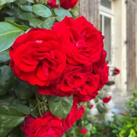 La Colline De Tilleul - Les Tilleuls - 4 Star Rated - Stunning With Pool Near Aubeterre In Idyllic Location Casa de Férias *