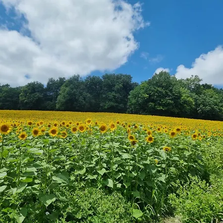 La Colline De Tilleul - Les Tilleuls - 4 Star Rated - Stunning With Pool Near Aubeterre In Idyllic Location Saint-Romain (Charente)