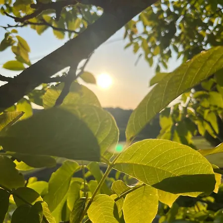 Casa de Férias La Colline De Tilleul - Les Tilleuls - 4 Star Rated - Stunning With Pool Near Aubeterre In Idyllic Location Saint-Romain (Charente)