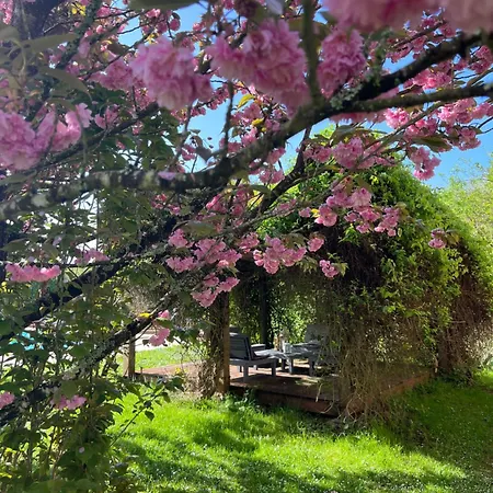 Casa de Férias La Colline De Tilleul - Les Tilleuls - 4 Star Rated - Stunning With Pool Near Aubeterre In Idyllic Location Saint-Romain (Charente)