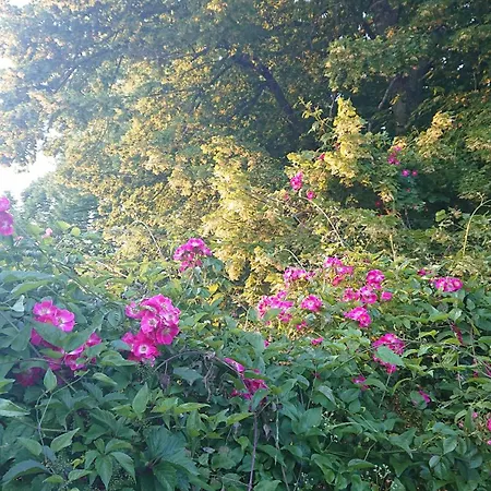 La Colline De Tilleul - Les Tilleuls - 4 Star Rated - Stunning With Pool Near Aubeterre In Idyllic Location Casa de Férias